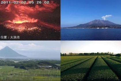 鹿兒島火山土茶園