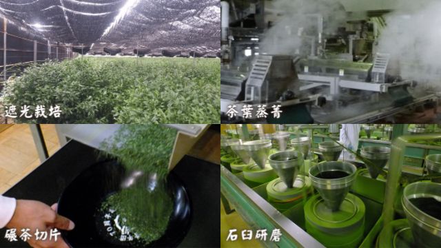 抹茶四要素